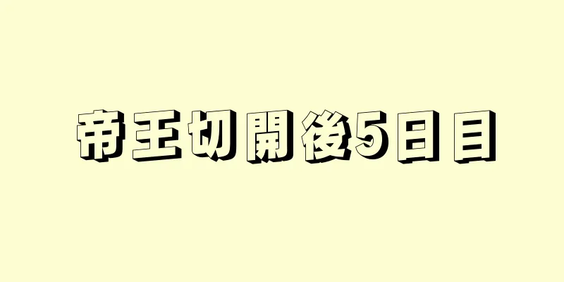帝王切開後5日目