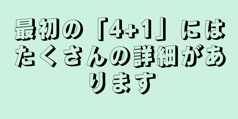 最初の「4+1」にはたくさんの詳細があります