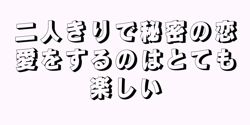 二人きりで秘密の恋愛をするのはとても楽しい