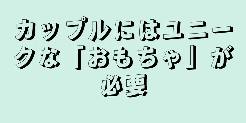 カップルにはユニークな「おもちゃ」が必要