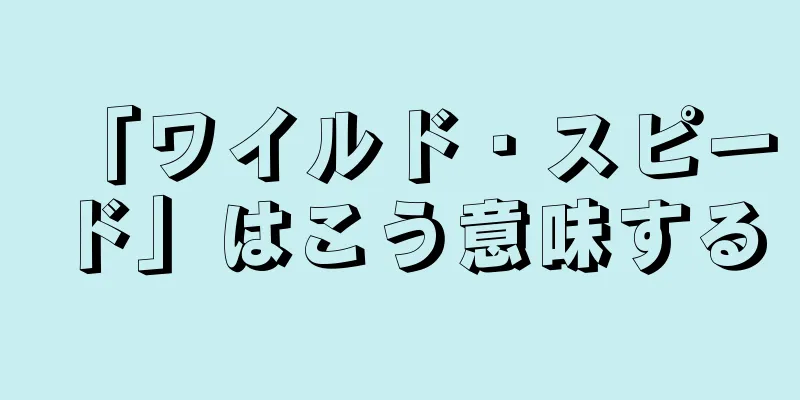 「ワイルド・スピード」はこう意味する