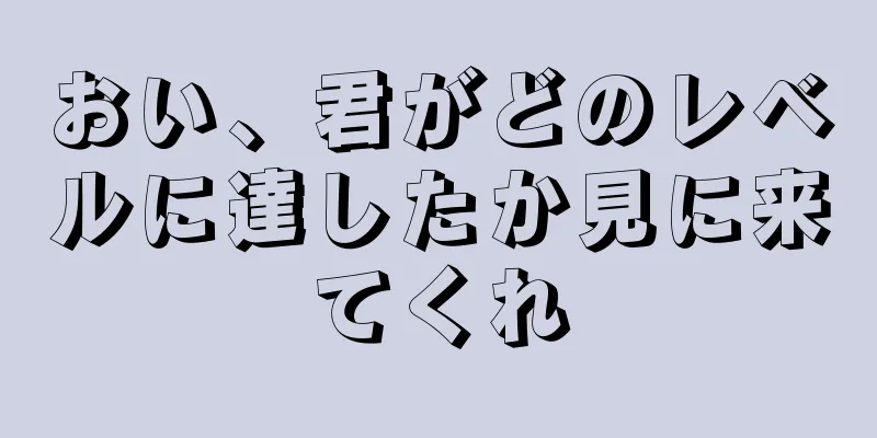 おい、君がどのレベルに達したか見に来てくれ
