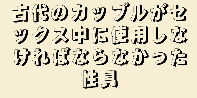 古代のカップルがセックス中に使用しなければならなかった性具