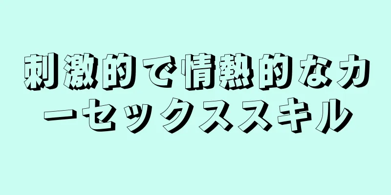 刺激的で情熱的なカーセックススキル