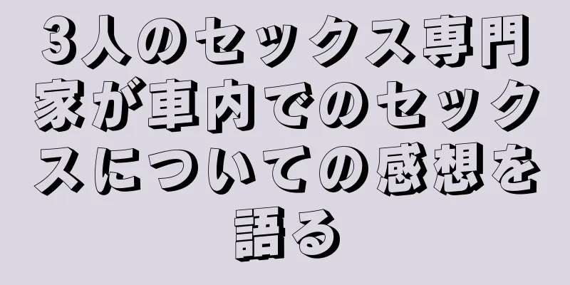 3人のセックス専門家が車内でのセックスについての感想を語る