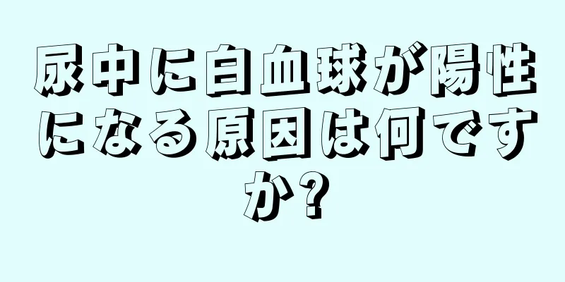 尿中に白血球が陽性になる原因は何ですか?