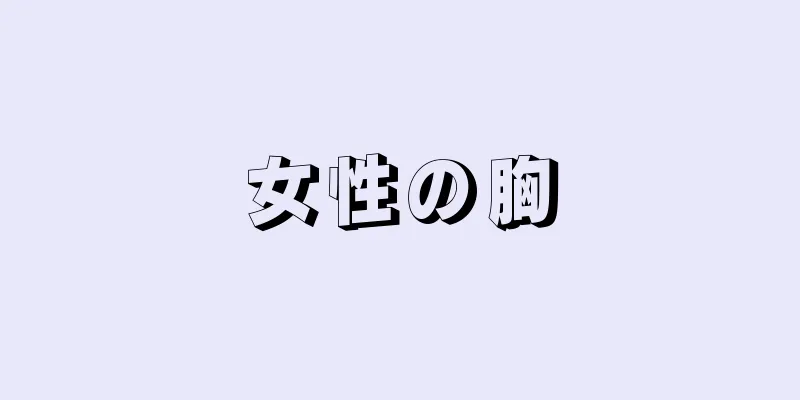 女性の胸
