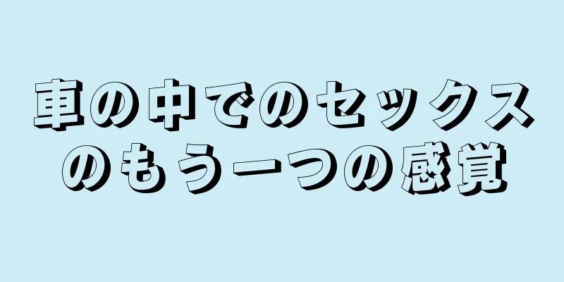車の中でのセックスのもう一つの感覚