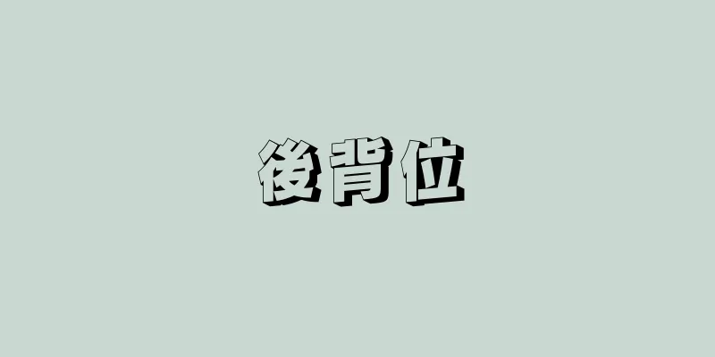後背位