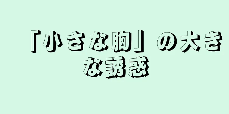 「小さな胸」の大きな誘惑