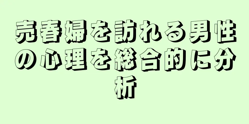 売春婦を訪れる男性の心理を総合的に分析