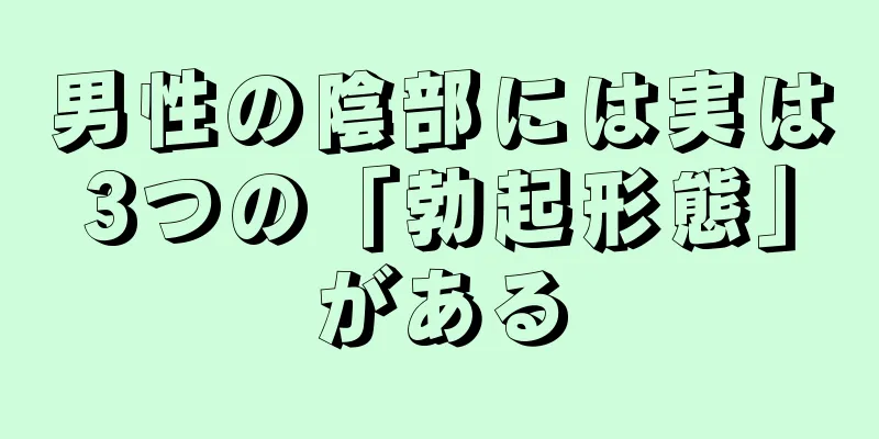 男性の陰部には実は3つの「勃起形態」がある