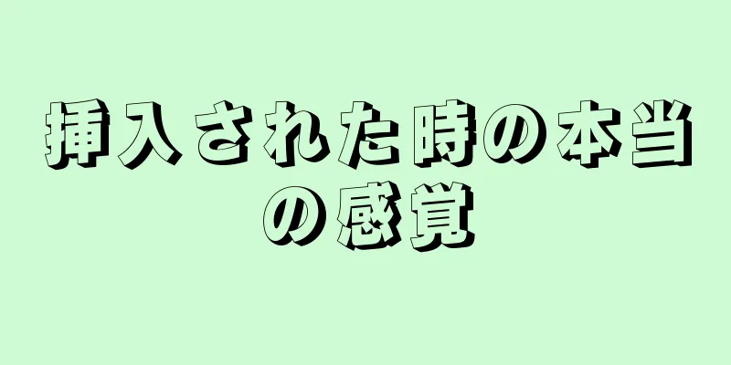 挿入された時の本当の感覚