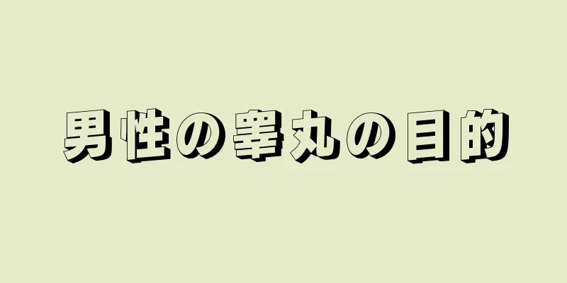男性の睾丸の目的