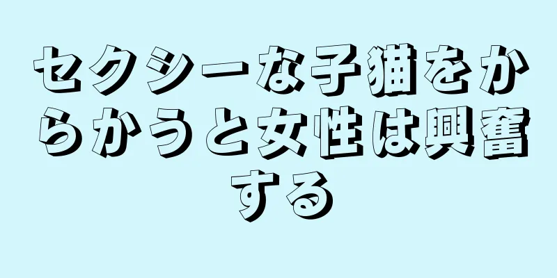セクシーな子猫をからかうと女性は興奮する