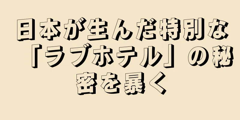 日本が生んだ特別な「ラブホテル」の秘密を暴く