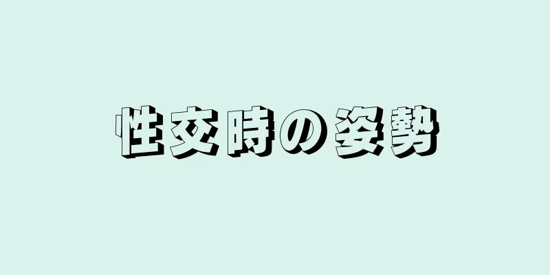 性交時の姿勢