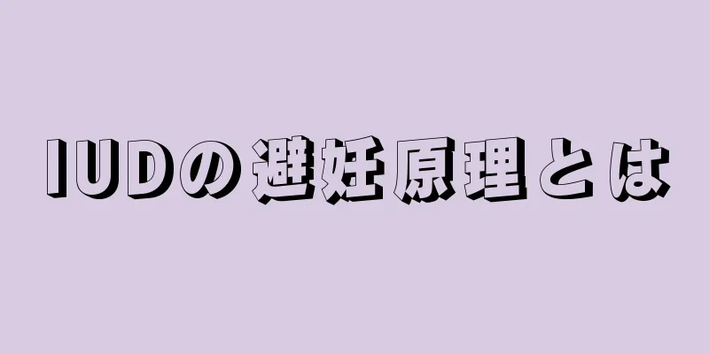 IUDの避妊原理とは