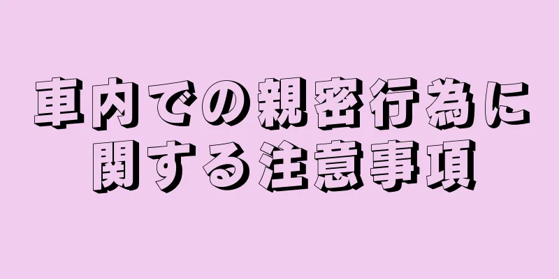 車内での親密行為に関する注意事項