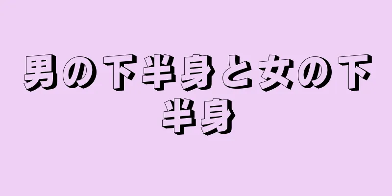 男の下半身と女の下半身