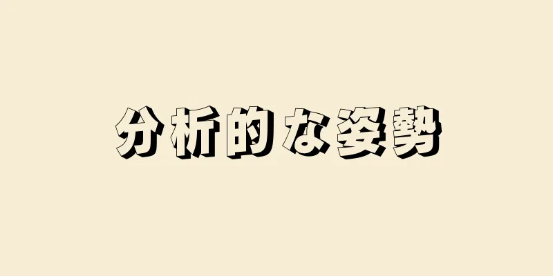 分析的な姿勢