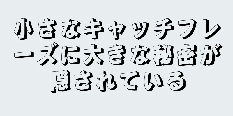 小さなキャッチフレーズに大きな秘密が隠されている