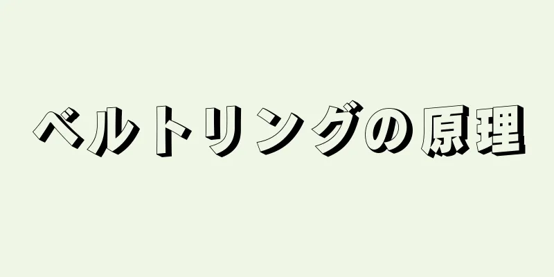 ベルトリングの原理