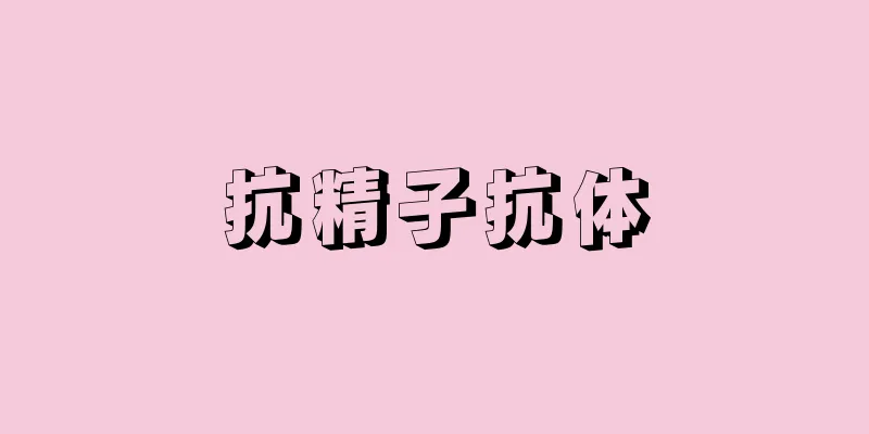 抗精子抗体