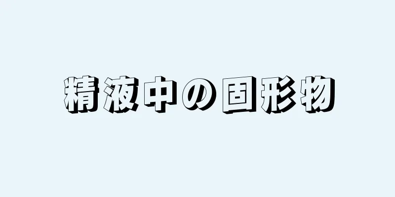 精液中の固形物