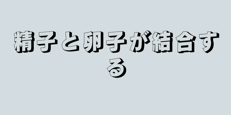 精子と卵子が結合する