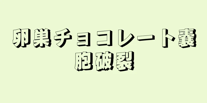 卵巣チョコレート嚢胞破裂